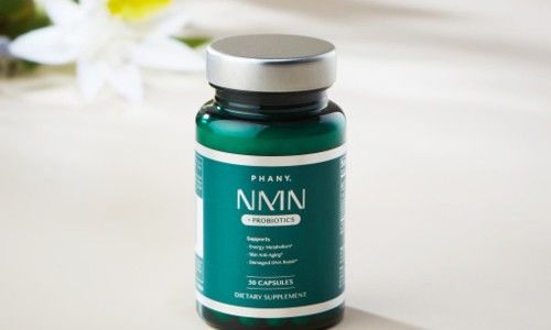NMN 영양제 추천