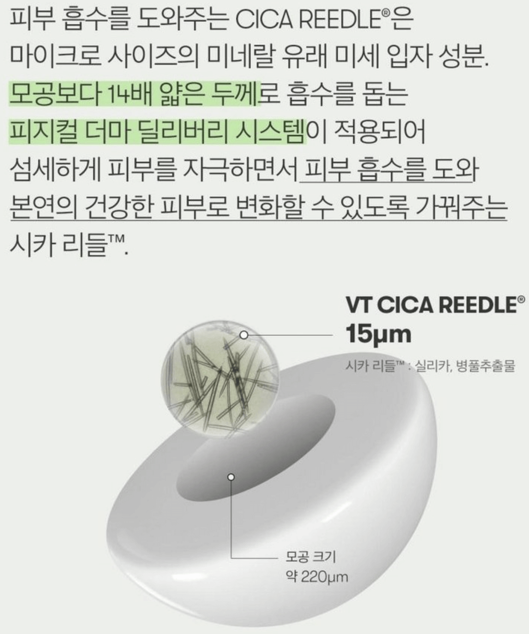 다이소 리들샷 종류와 사용법