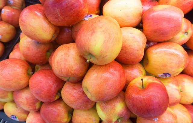 이마트 고래잇 페스타 관련 이미지