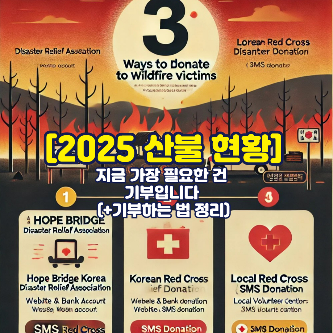 [2025 산불 현황] 지금 가장 필요한 건 기부입니다 (+기부하는 법 정리)
