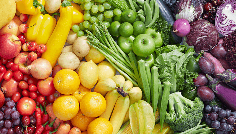야채와 과일