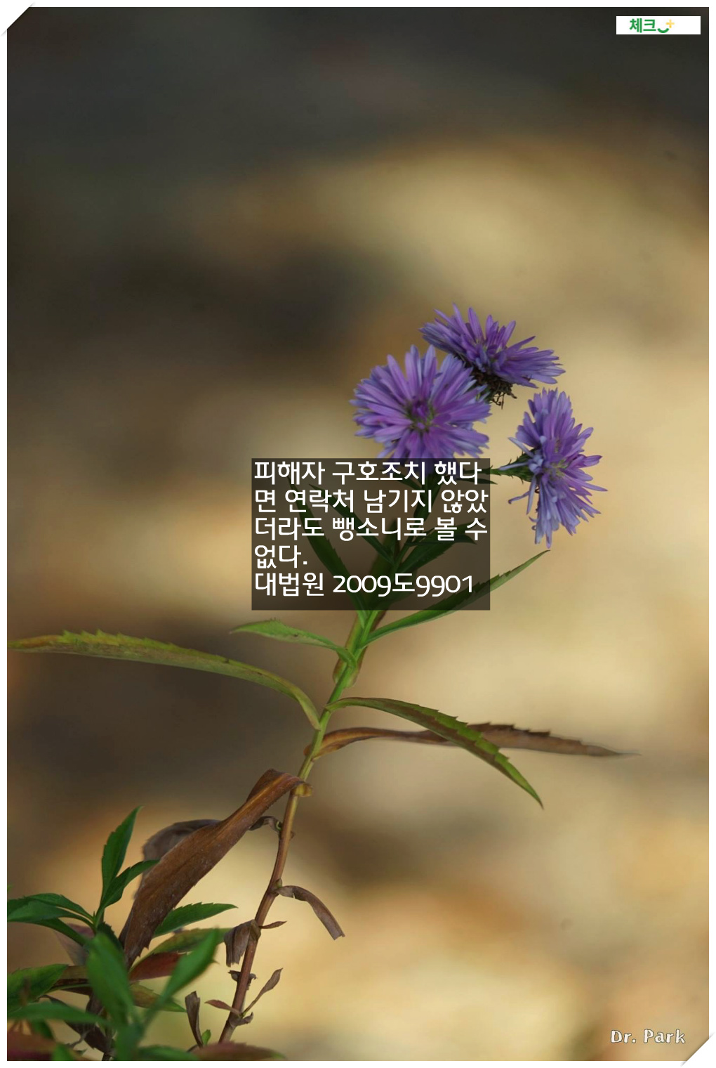 피해자 구호조치 했다면 연락처 남기지 않았더라도 뺑소니로 볼 수 없다.