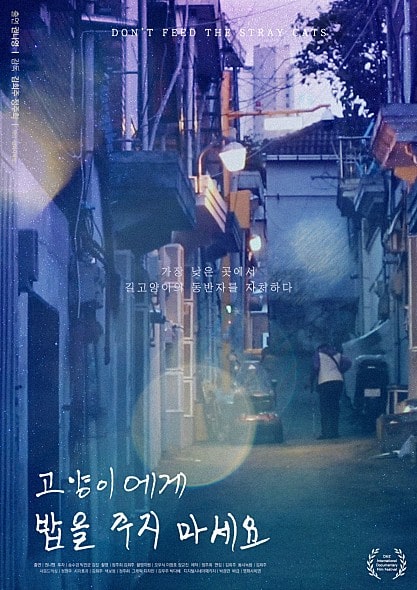 고양이에게 밥을 주지 마세요 포스터 모습