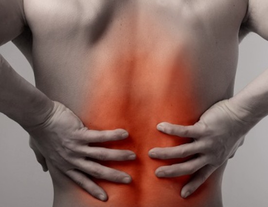 등 통증 원인 / 위치, 췌장암 증상일까?