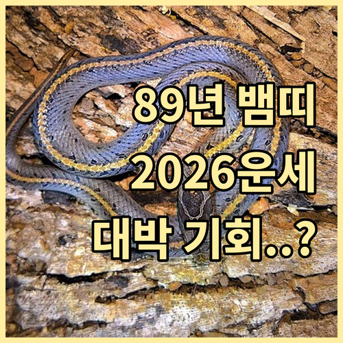 1989년생 뱀띠 2026년 종합 운..