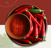 김장배추 담그기 체험