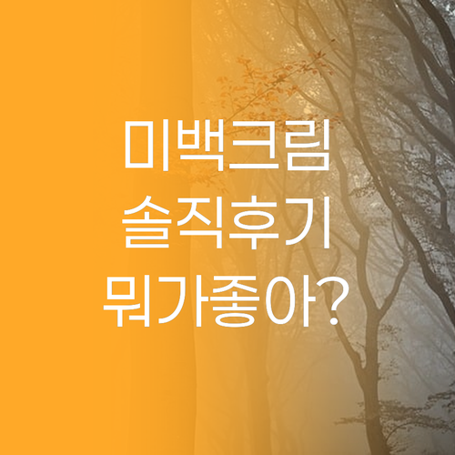 화이트닝 크림, 어떤 걸 골라야 할까