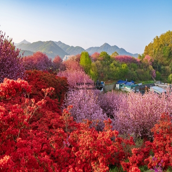 4월 국내여행하기 좋은곳