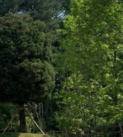 동두천 자연휴양림 숲나들e 국내 여행지 추천 관련사진