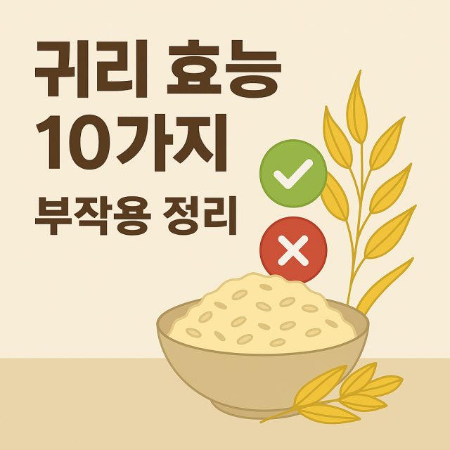 귀리 효능 10가지와 부작용을 정리한 대표 이미지로 곡물과 건강 아이콘이 포함된 디자인