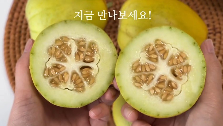 냉부해 입짦은햇님 망고참외 가격 판매하는 곳