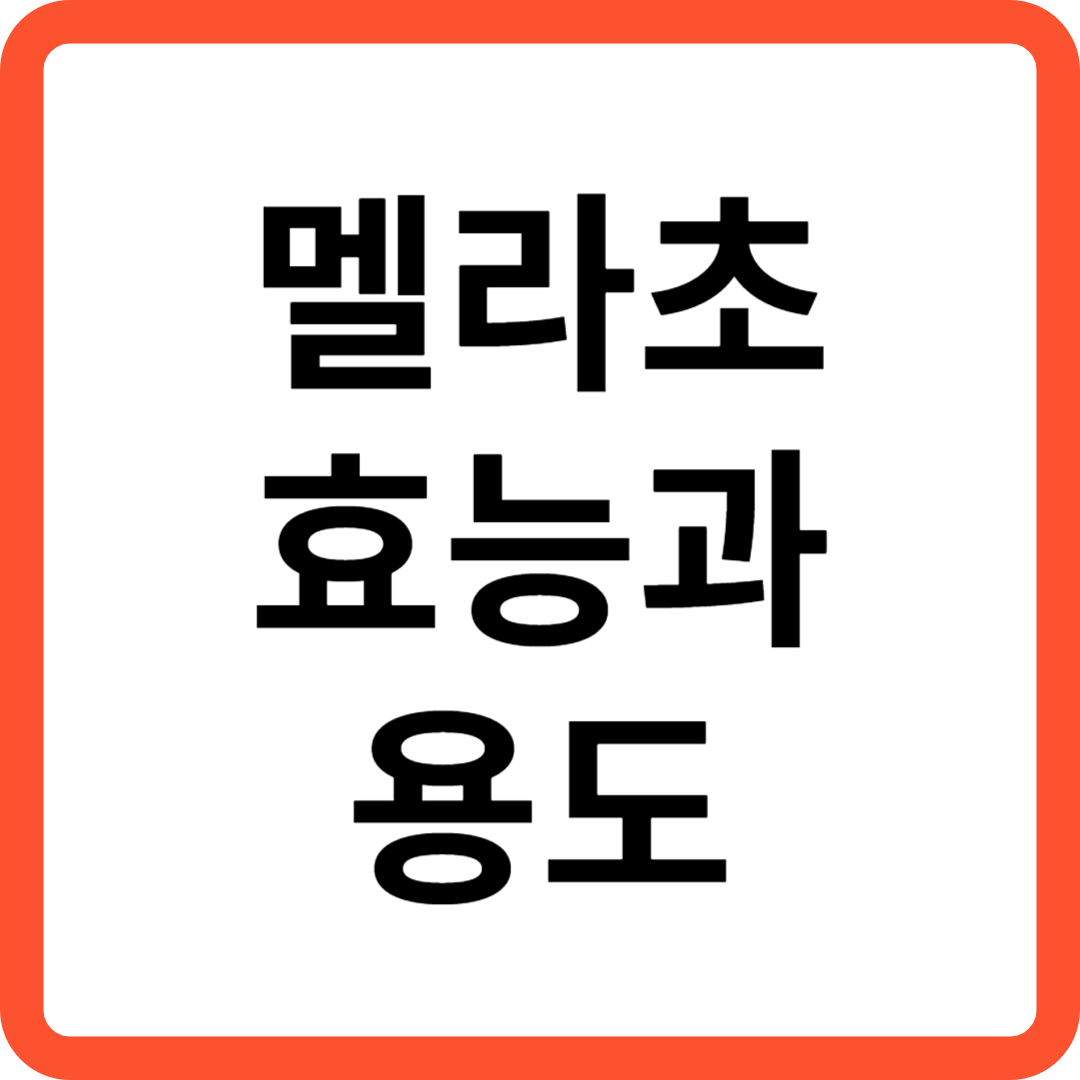멜라초 효능과 용도
