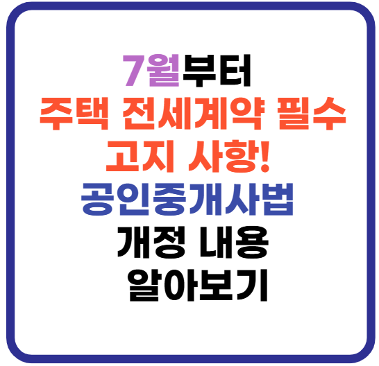 공인중개사법 개정