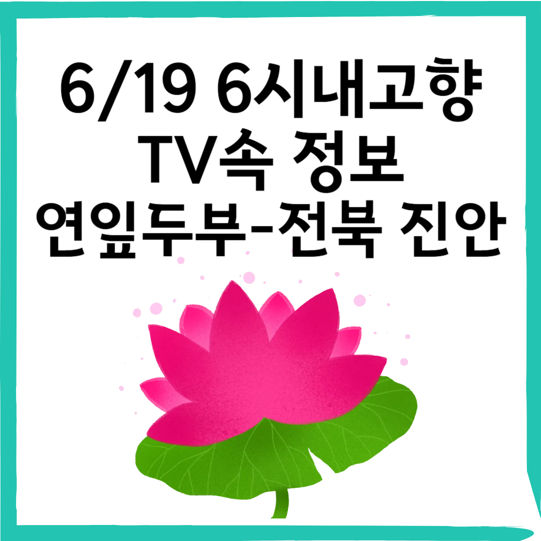 연잎두부 – 전북특별자치도 진안