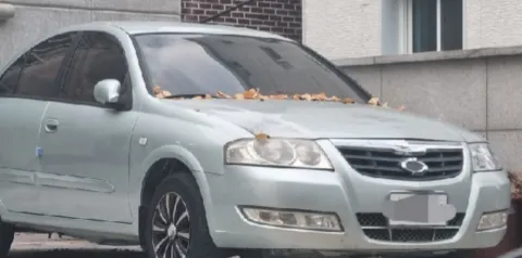 wp_라이트 복원 diy 중 주의사항