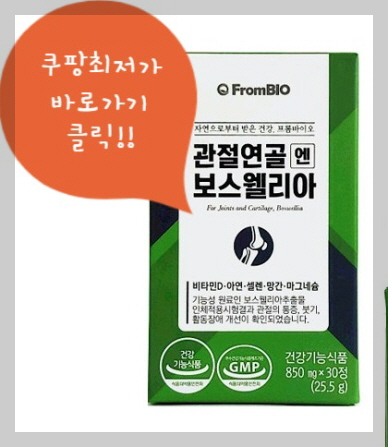 프롬바이오 기업 제품