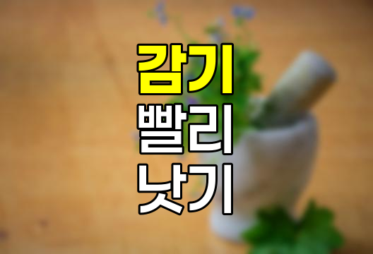 감기 빨리 낫는 방법과 보험 청구 정보