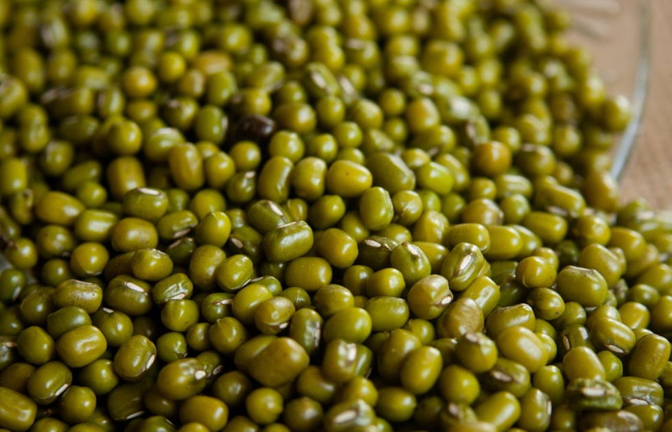 녹두콩이 많이 놓여있다.