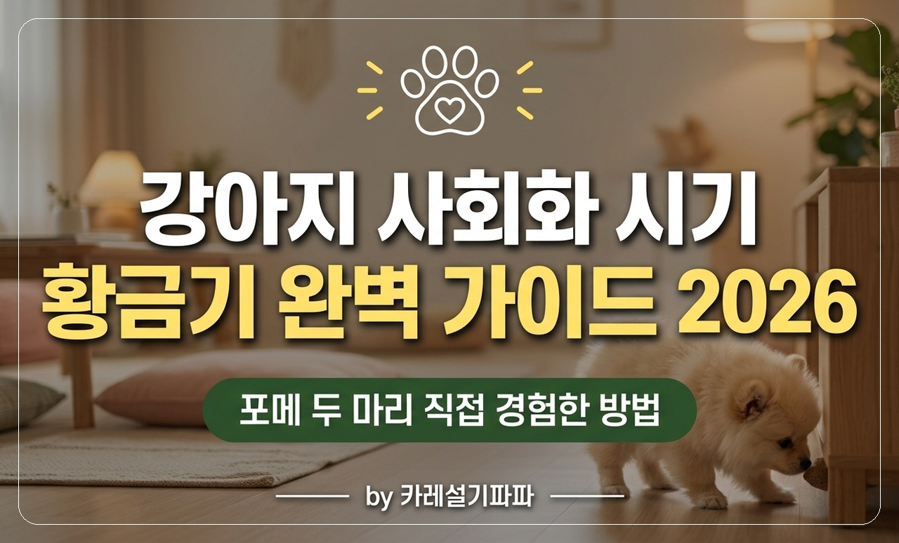 포메라니안 사회화 가이드 썸네일