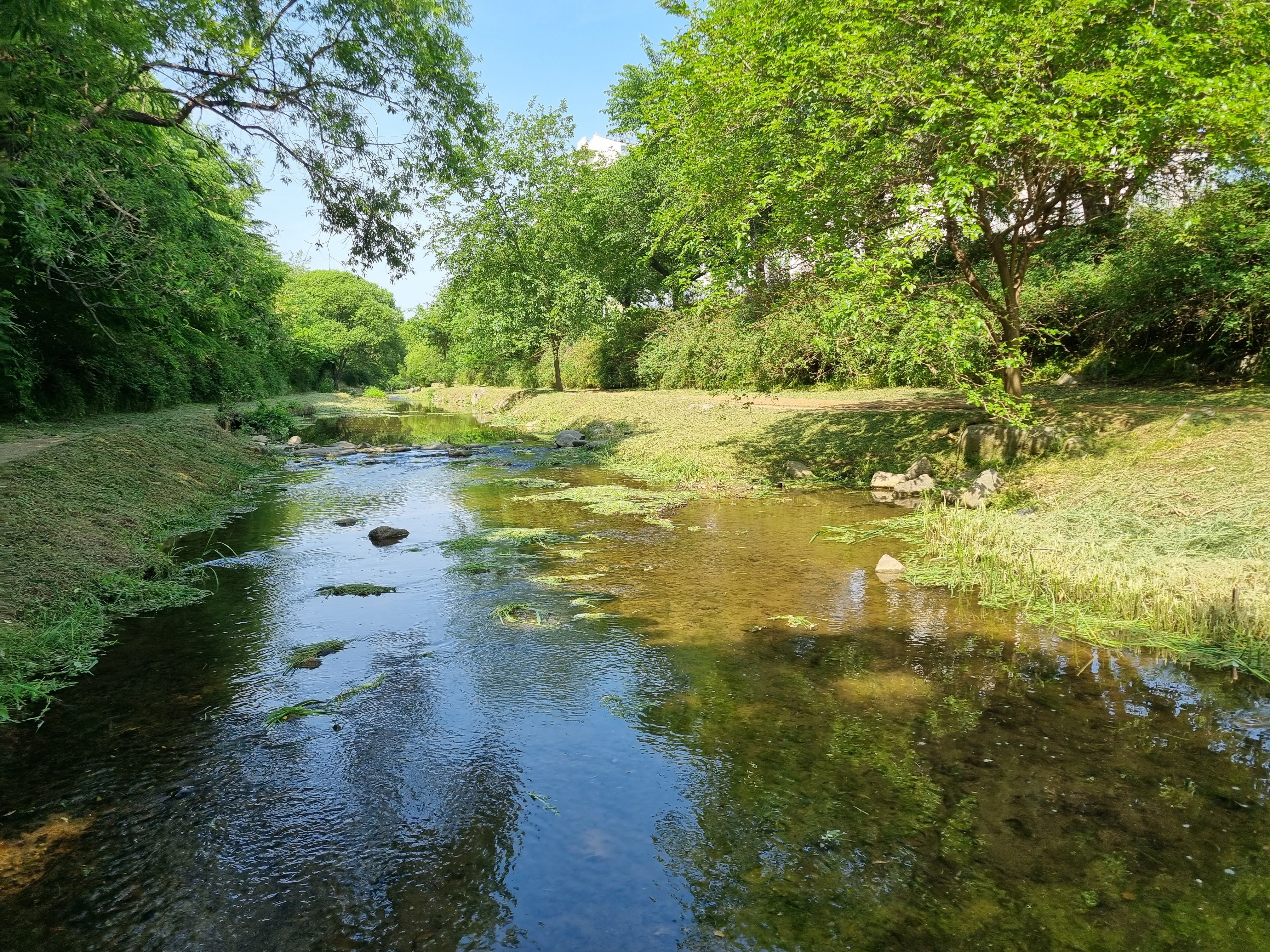 인천대공원 장수천