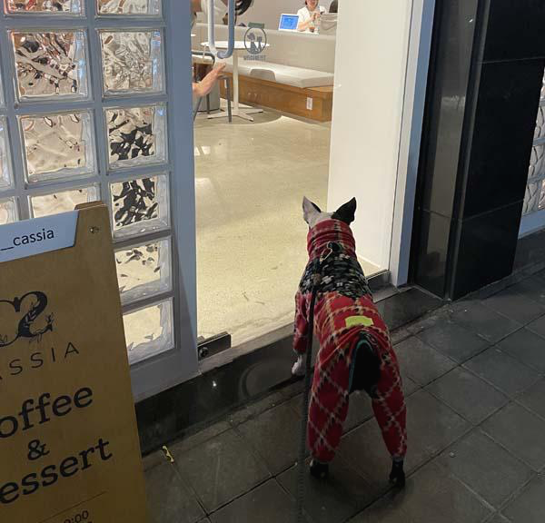 발길이 안떨어지는 팝스