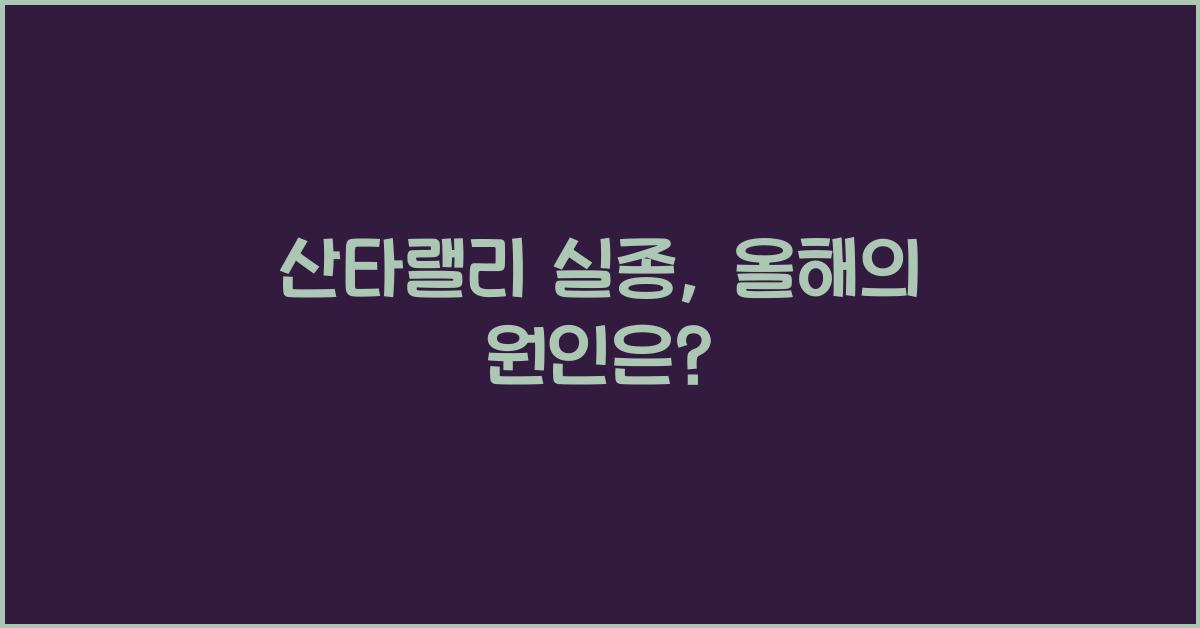 산타랠리 실종