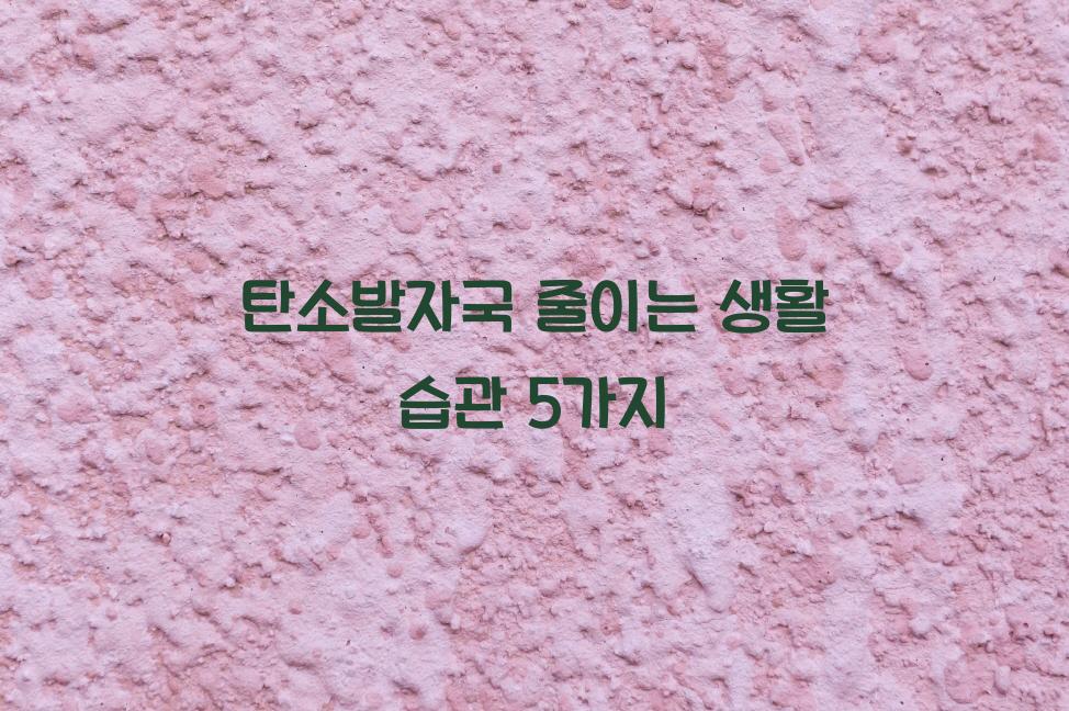 탄소발자국
