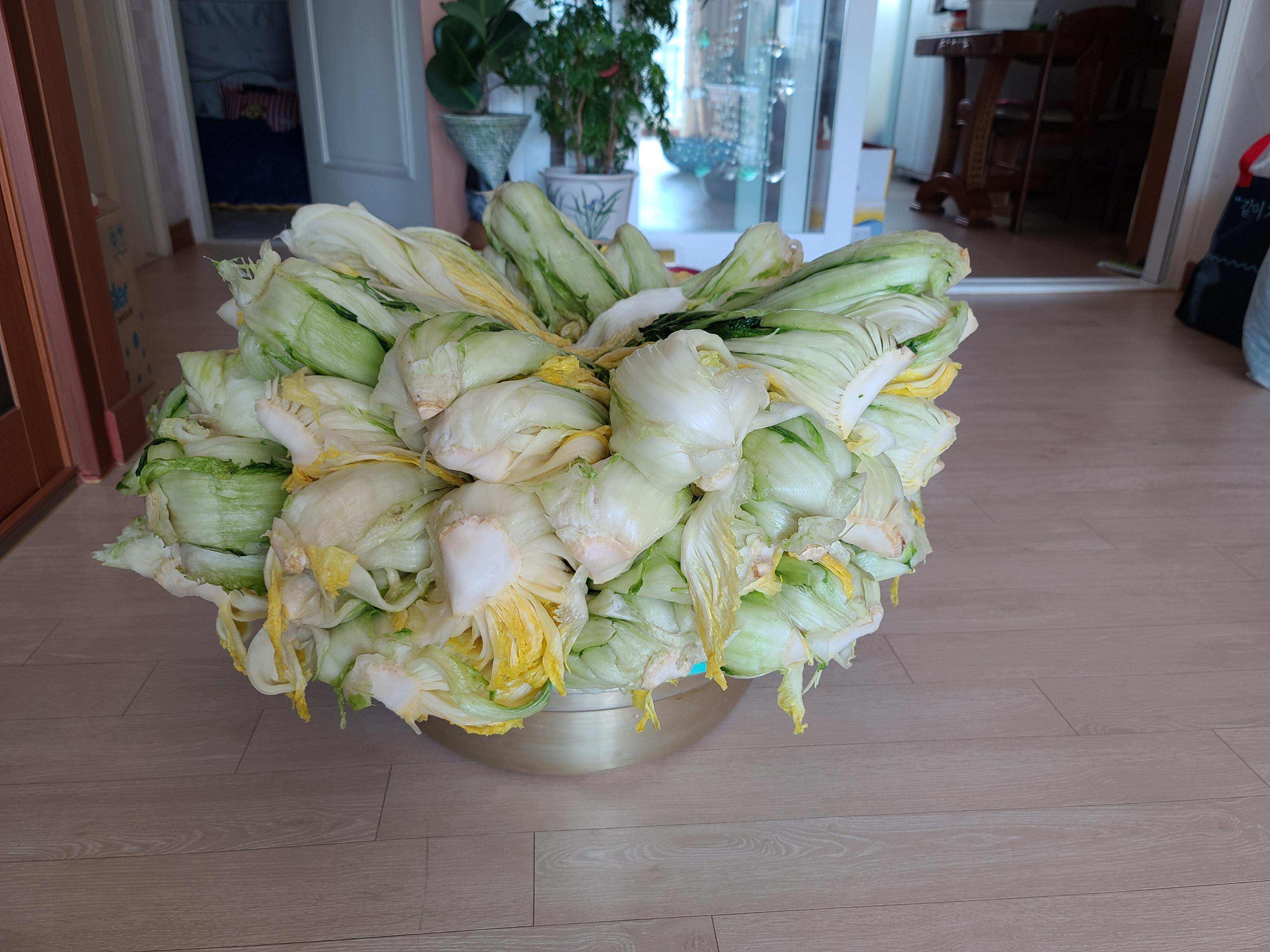 김장 언제 하셨어요?