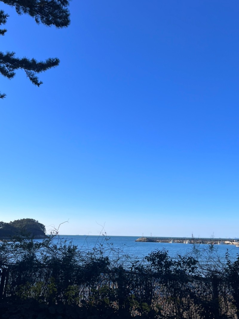 천리포수목원