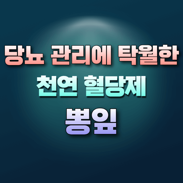 천연혈당제뽕잎의효능