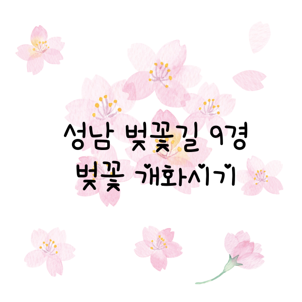 성남 벚꽃길 9경 대중교통 이용방법 벚꽃 개화시기