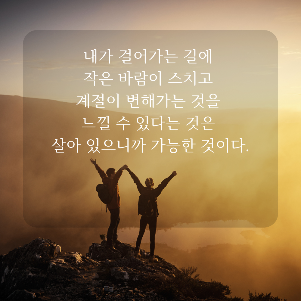 감사 글귀 좋은글 이미지 문구
