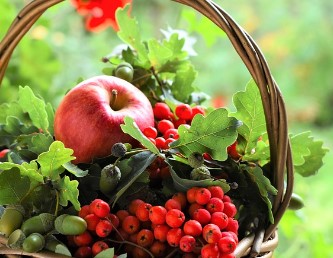 올팜 맞팜 친구 맺기