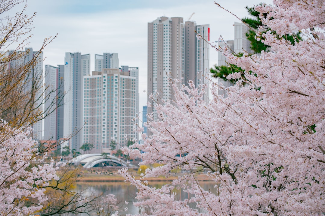 Suwon