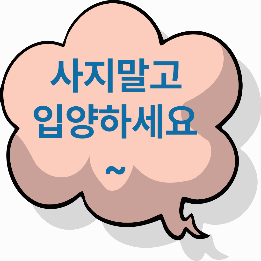 📌 2025년 펫보험 추천 총정리