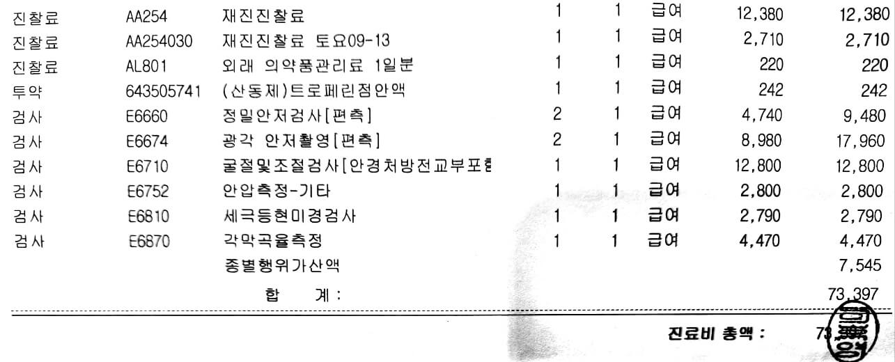 검진내역