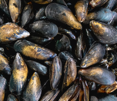 홍합탕 끓이는법