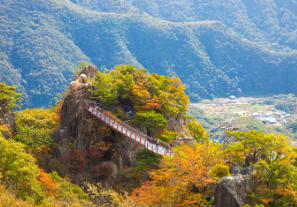 완주 대둔산 축제