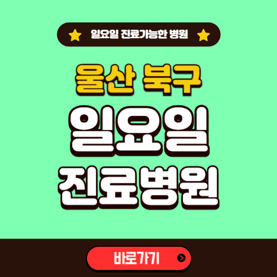 울산 북구 일요일 진료 가능한 병원 ❘ 주말 문여는 곳 총정리 (소아과, 내과, 안과, 치과, 피부과, 정형외과, 산부인과)