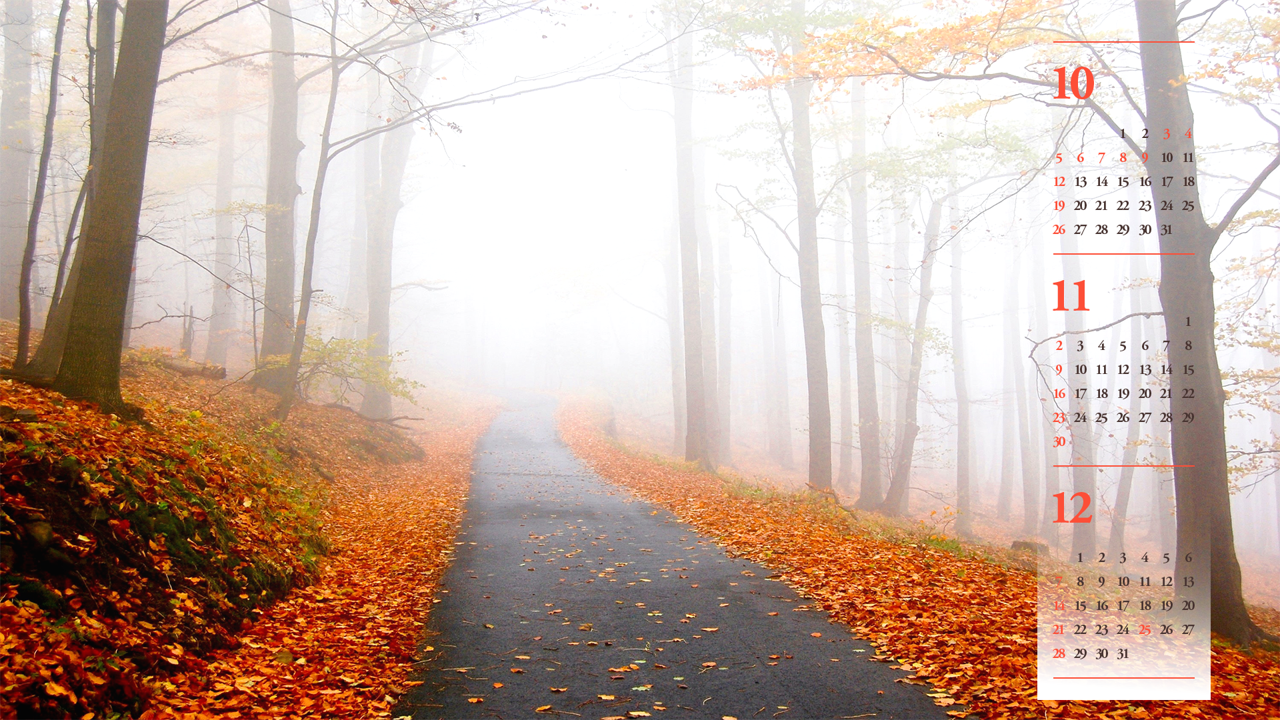 01 안개 낀 단풍길 B - 2025년11월 노트북배경화면