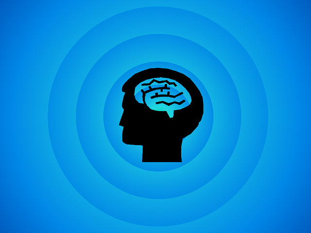 심리적 과부하를 막는 인지 예산 관리법