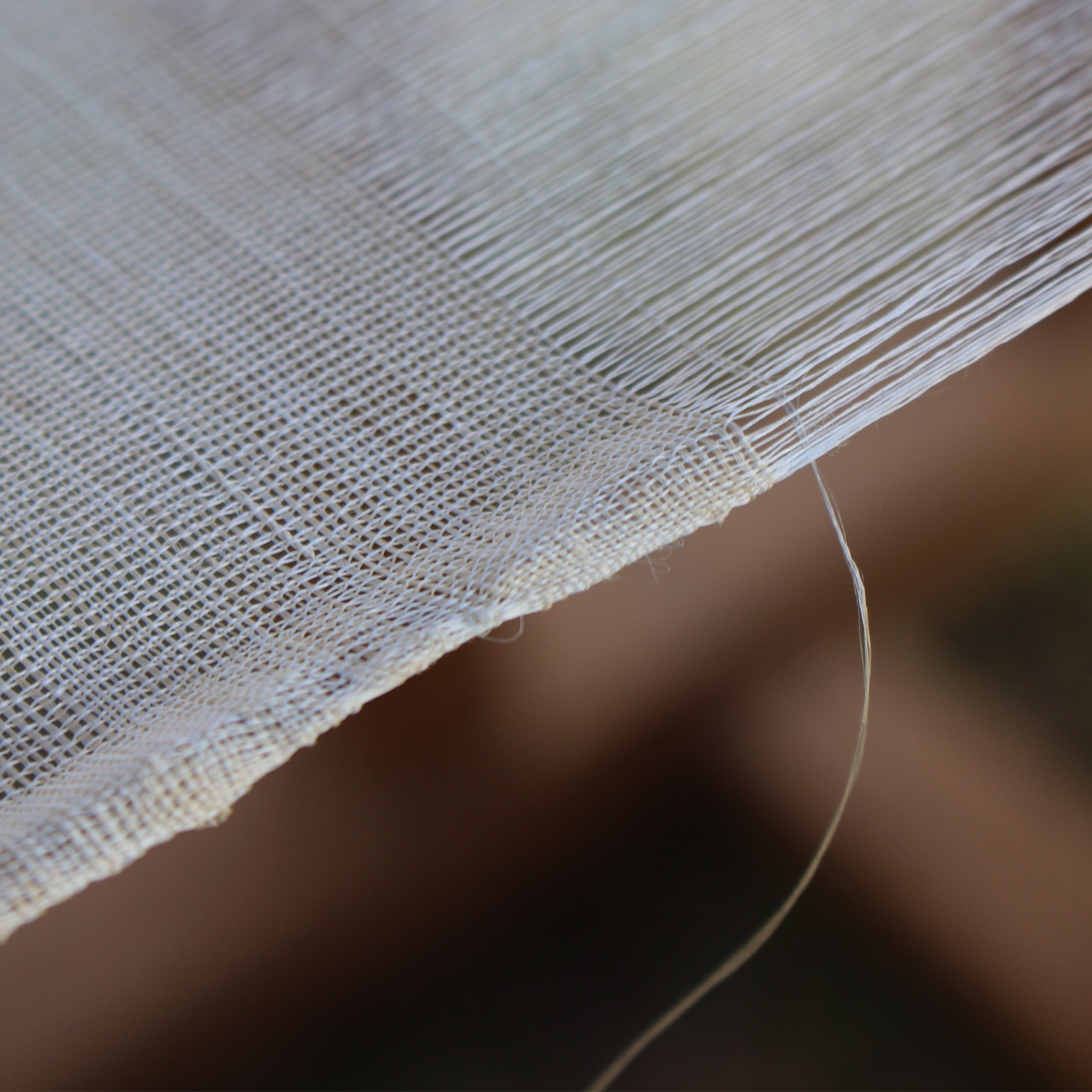 모시와삼베