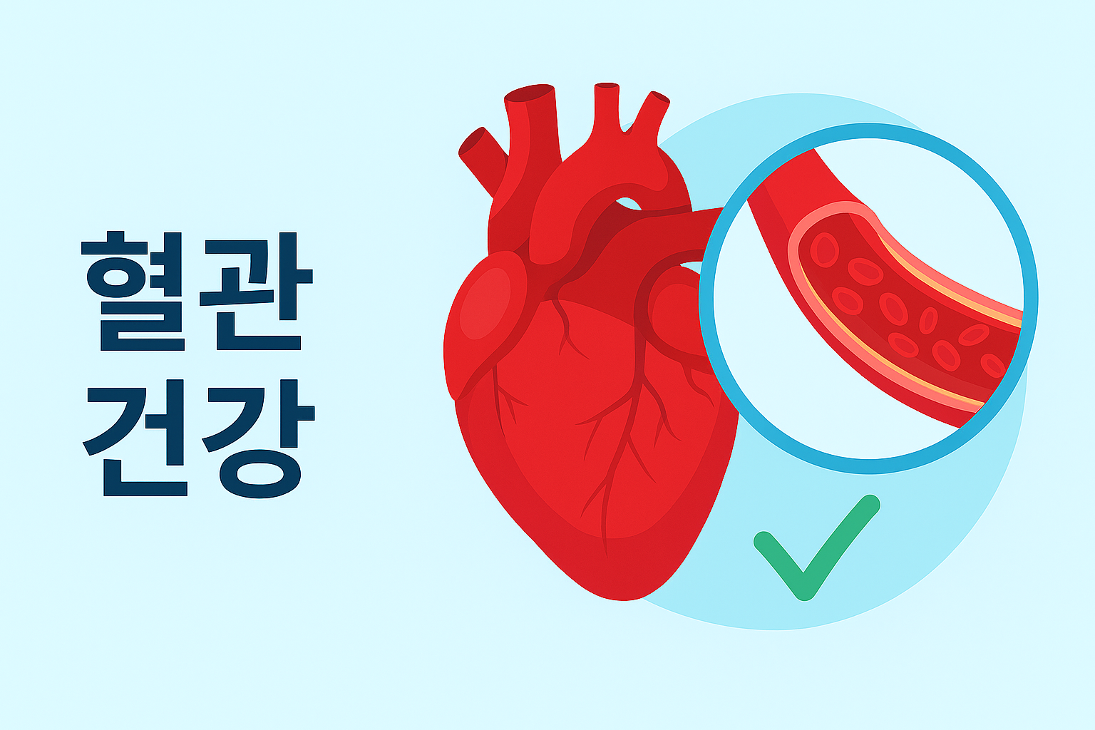 혈관 건강을 상징하는 인포그래픽