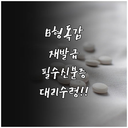 B형 독감 처방전 재발급 신분증 확인..
