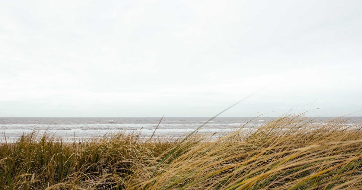 Young couple happily reviewing housing documents on a tablet in a bright apartment