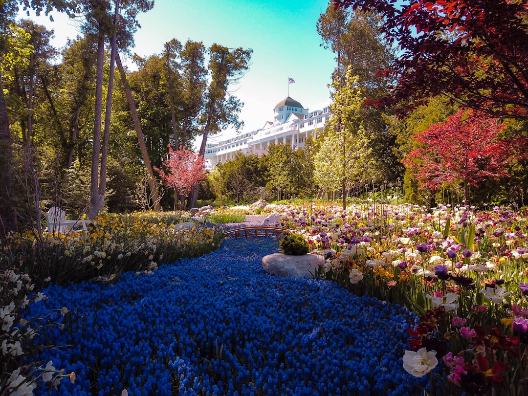 Secret Garden