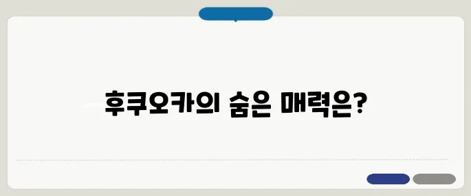 후쿠오카 여행 2박 3일 추천코스 총정리!