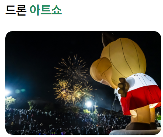 드론 아트쇼 사진