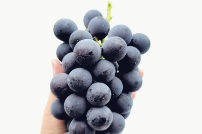 포도 효능