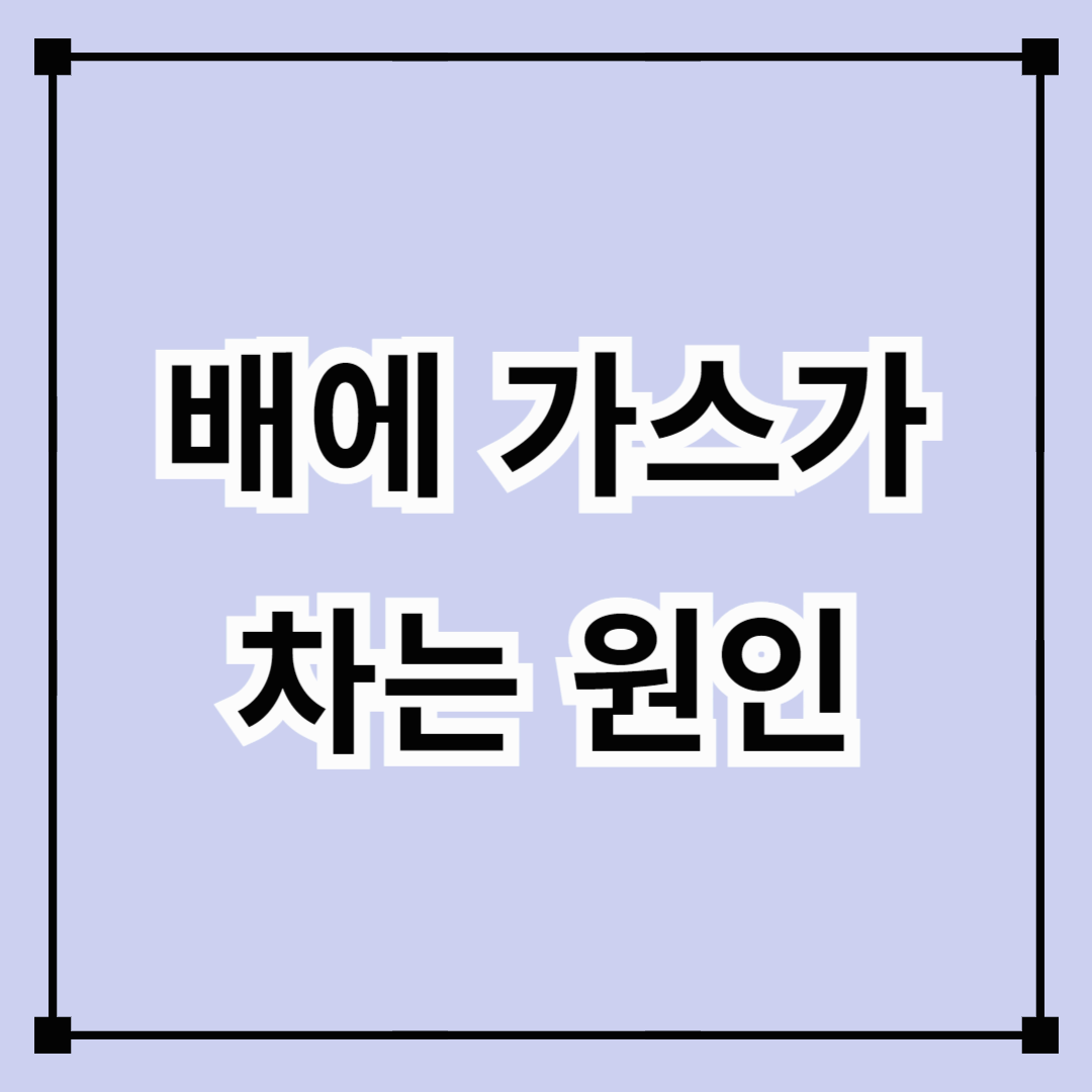 배에 가스가 차는 주요 원인